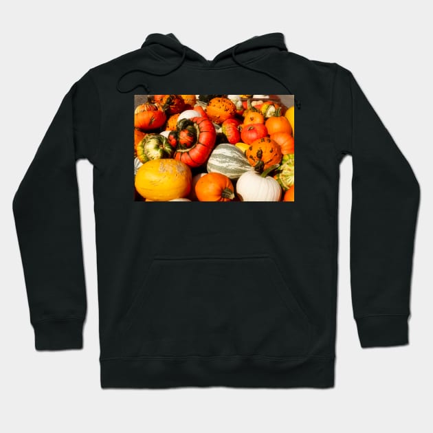 Fall Squash 1 Hoodie by Robert Alsop